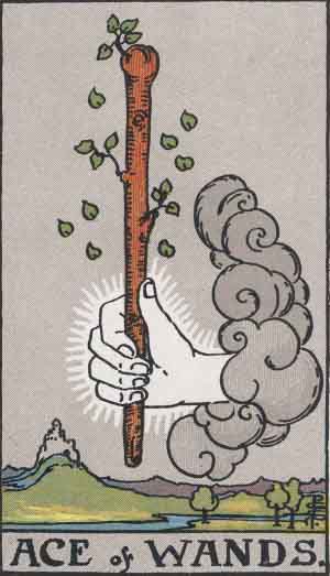 Ace of Wands: Meaning In Love Tarot Card Reading