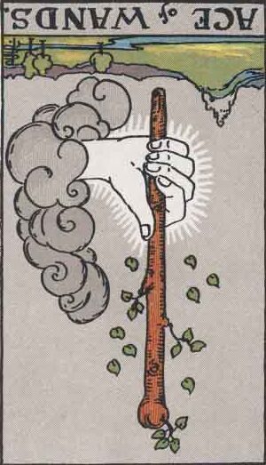 Ace of Wands (Reversed): love, money, profession, health, spirituality