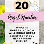Angel Number 20 meaning, twin flame, love, breakup, reunion, finance, work